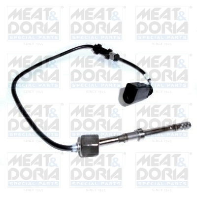 Sensor, exhaust gas temperature